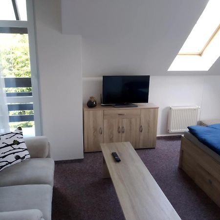 Apartman Violeta Harrachov Bagian luar foto