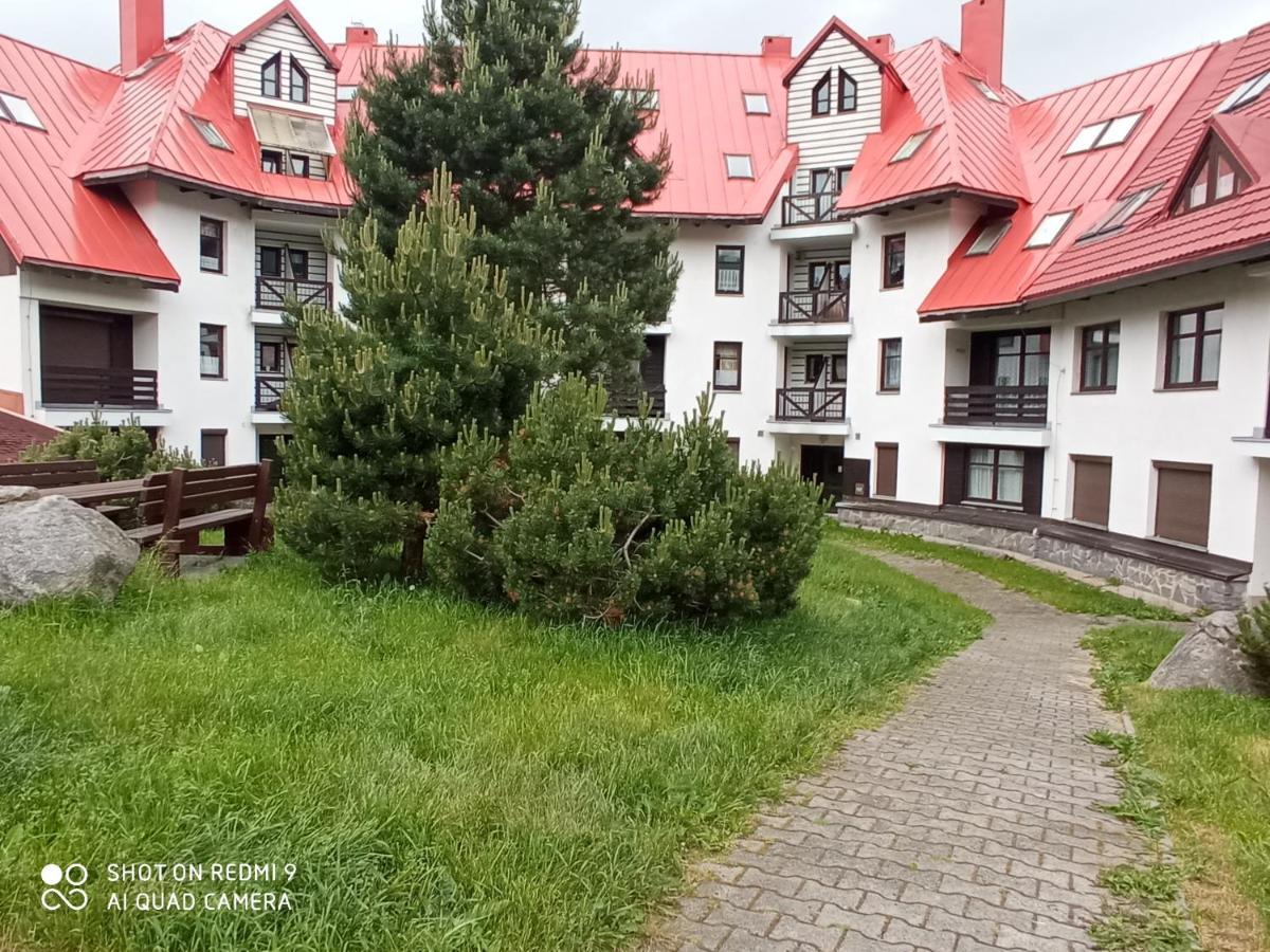 Apartman Violeta Harrachov Bagian luar foto