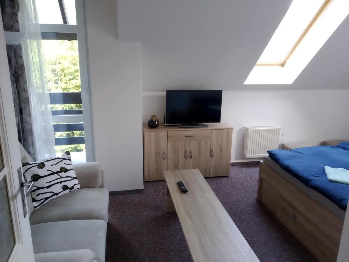 Apartman Violeta Harrachov Bagian luar foto