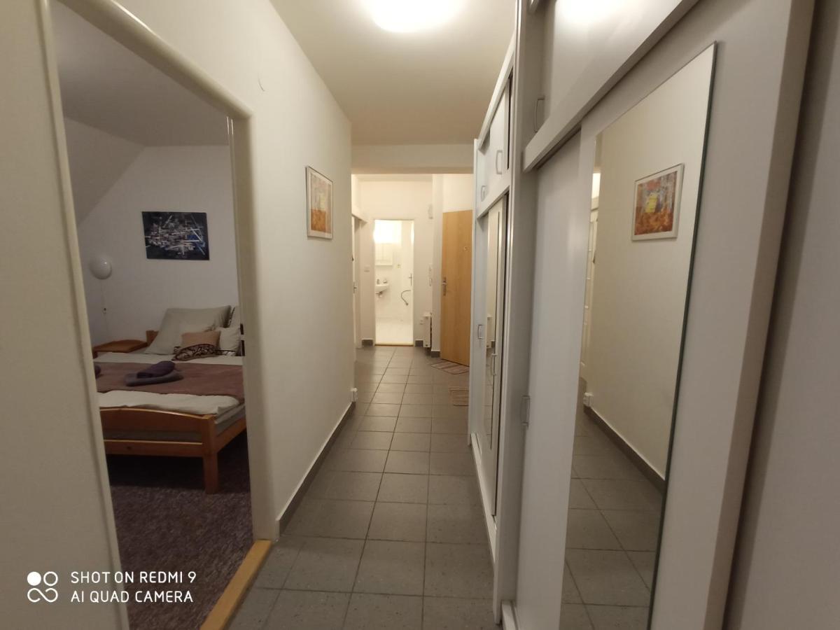 Apartman Violeta Harrachov Bagian luar foto