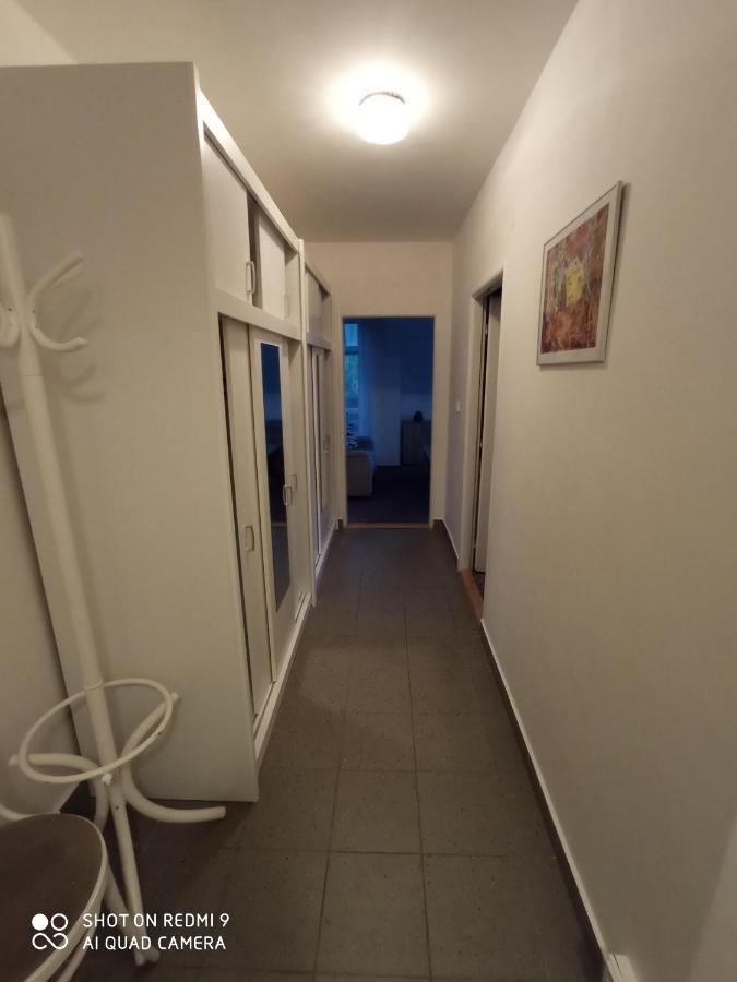 Apartman Violeta Harrachov Bagian luar foto
